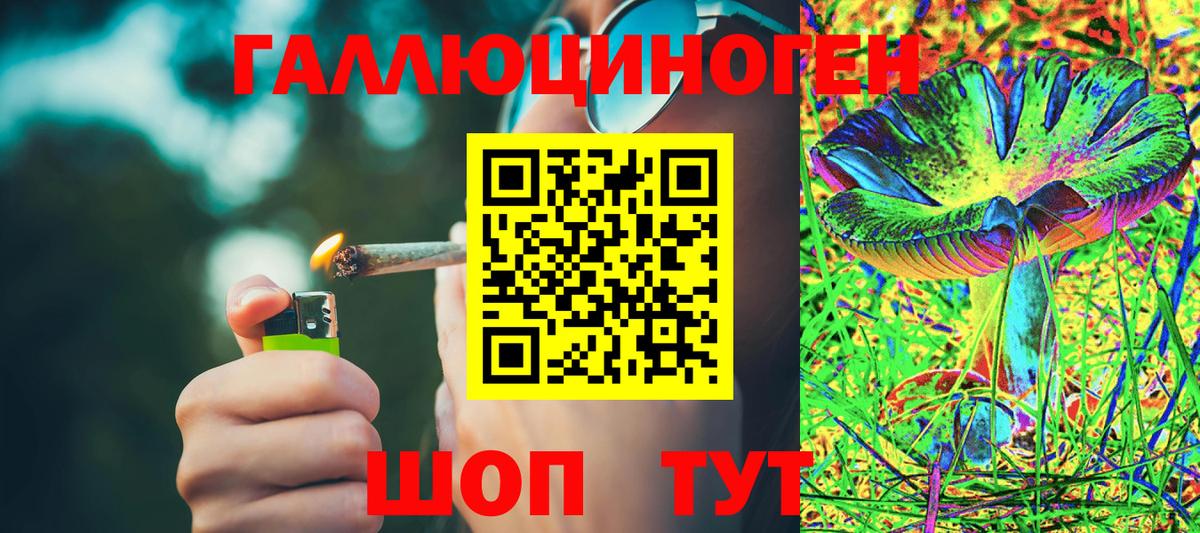 Михайловск  Псилоцибиновые грибы Psilocybine cubensis  Вход с VPN 